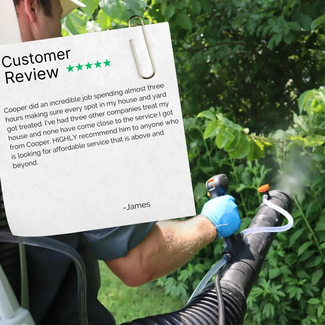 Customer Review